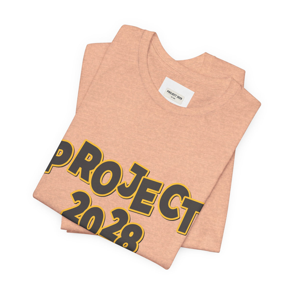 Project 2028 Graphic Tee — "Spirit Airlines Is Gone. Democracy Could Be Next. Vote Blue." Political Statement T-Shirt - Make a Statement Without Saying a Word!