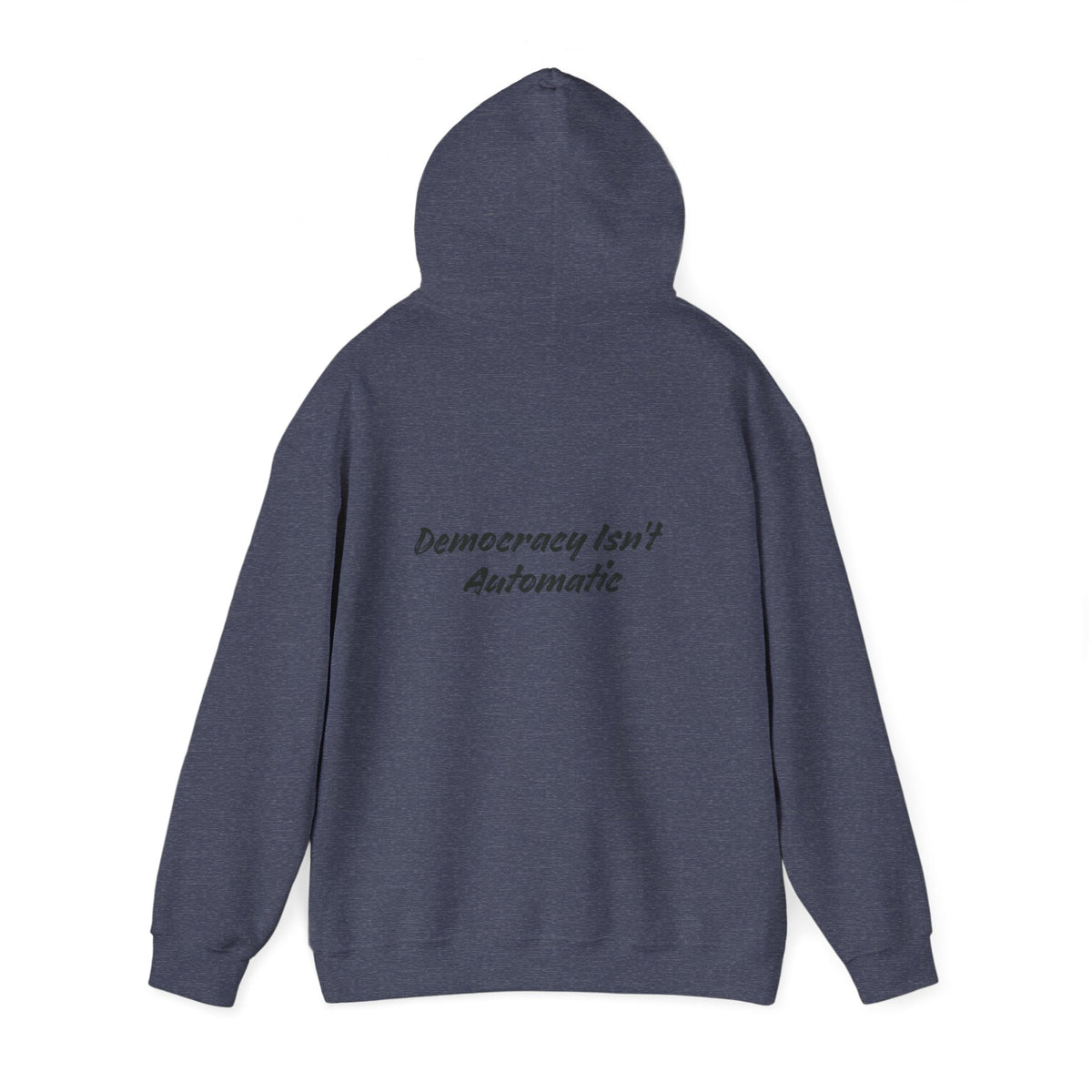 Protect Democracy Project 2028 Hoodie | democracy text design