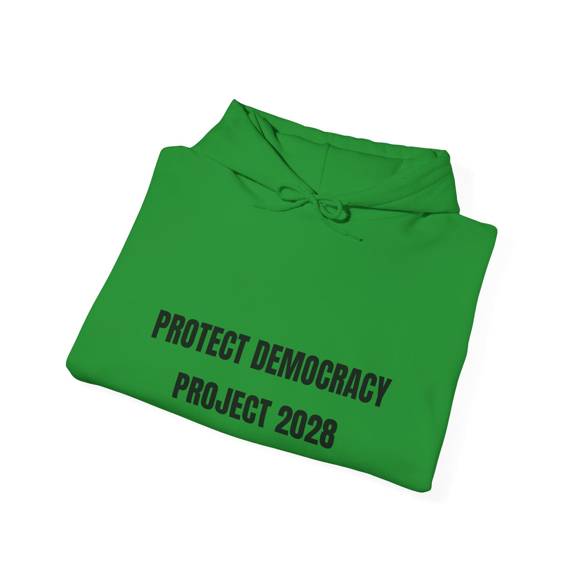 Protect Democracy Project 2028 Hoodie | Social Awareness