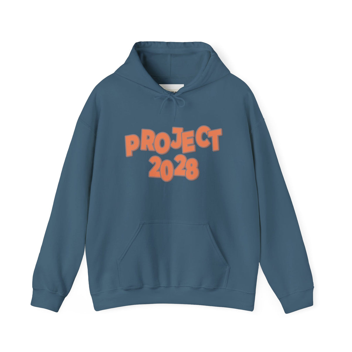 Project 2028 Hoodie | Democracy | Social Justice Message
