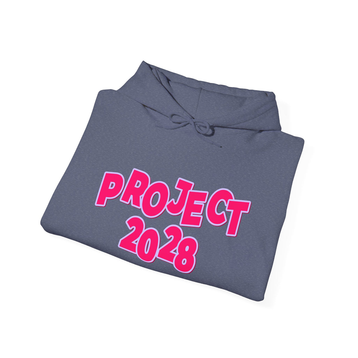 Project 2028 Hoodie | Social Awareness
