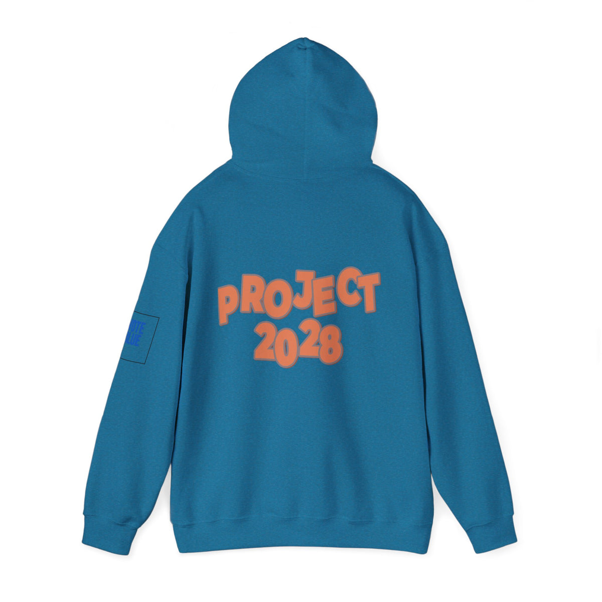 Protect Democracy Project 2028 Hoodie | Social Awareness