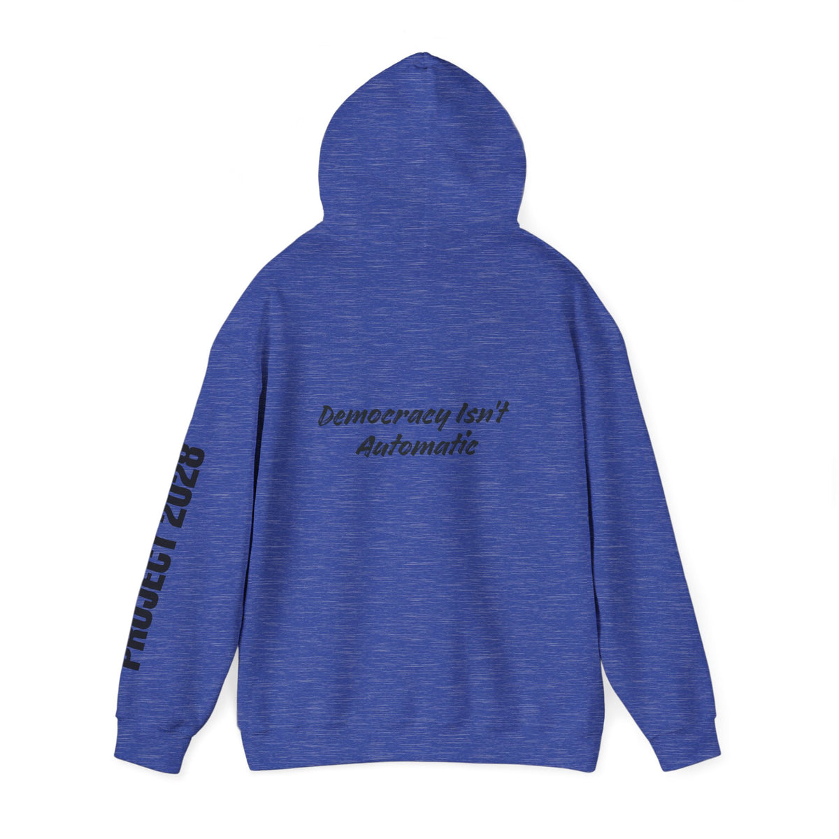Protect Democracy Project 2028 Hoodie | Social Awareness