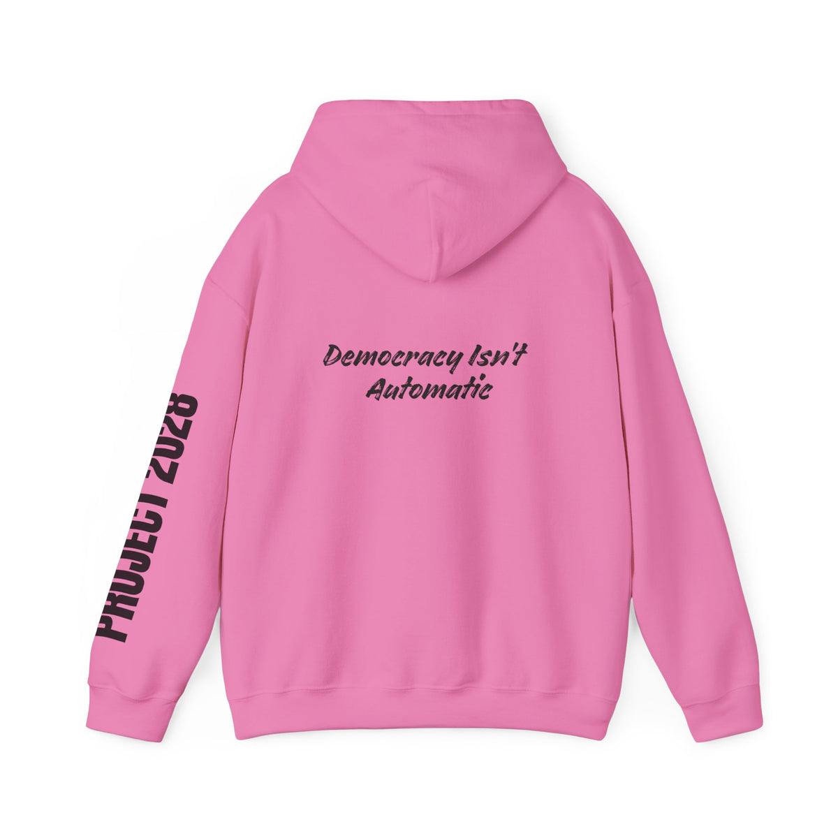 Protect Democracy Project 2028 Hoodie | Social Awareness
