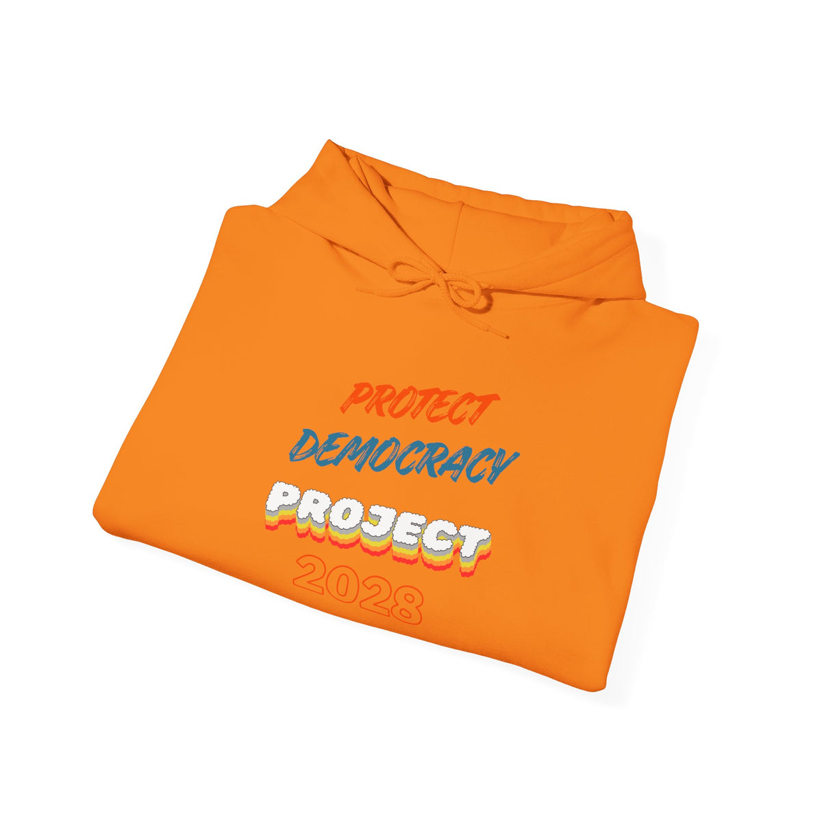 Protect Democracy Project 2028 Hoodie | Social Awareness