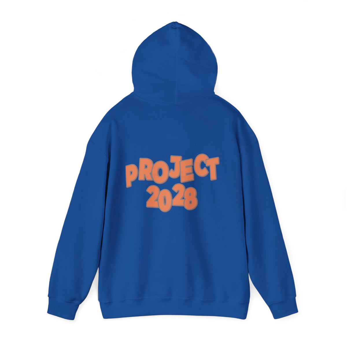 Protect Democracy Project 2028 Hoodie | Social Awareness