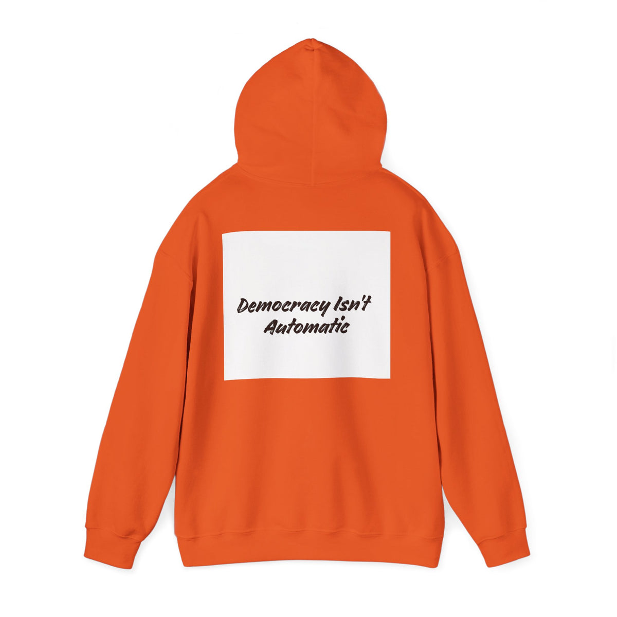 Protect Democracy Project 2028 Hoodie | Social Awareness