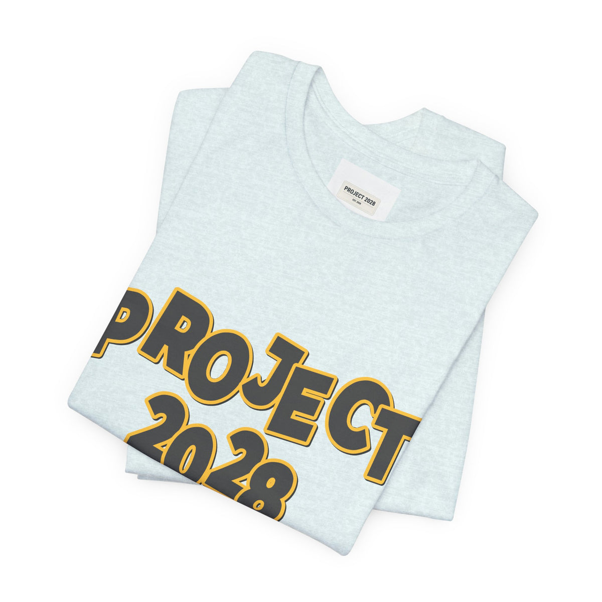 Project 2028 Graphic Tee — "Spirit Airlines Is Gone. Democracy Could Be Next. Vote Blue." Political Statement T-Shirt - Make a Statement Without Saying a Word!