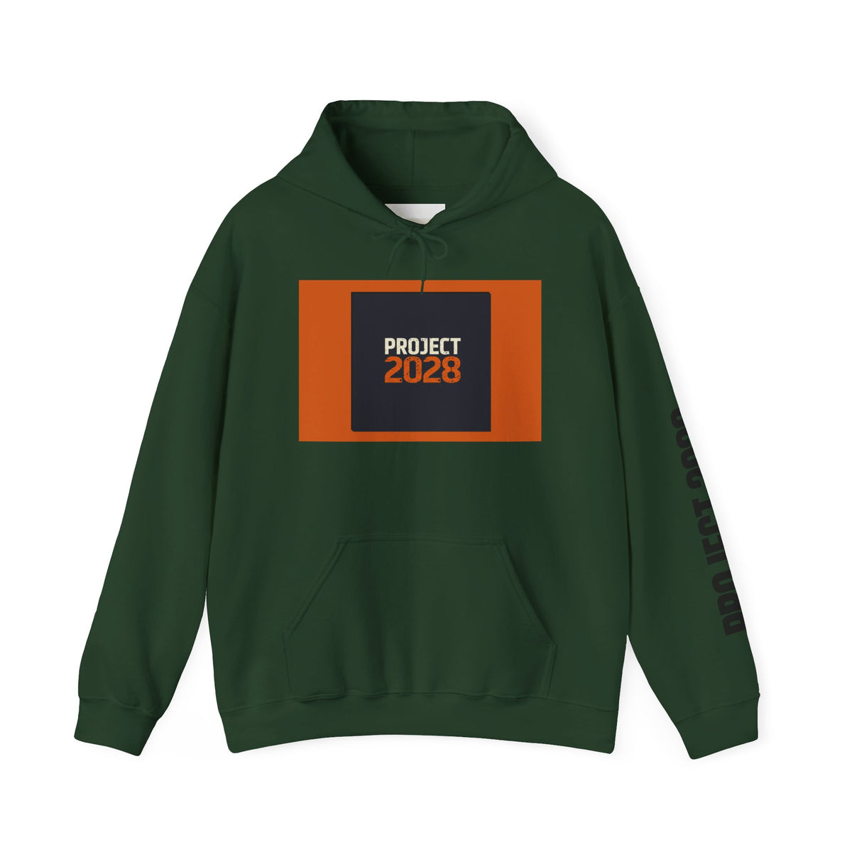 Project 2108 Graphic Hoodie | Democracy Isn't Automatic Back Print