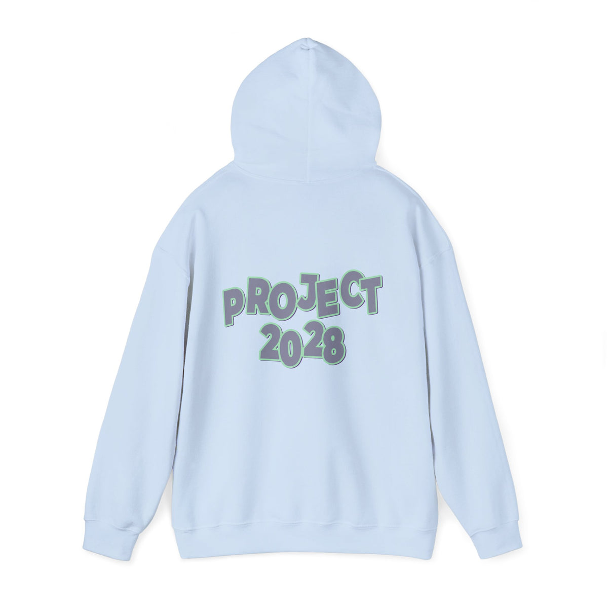 Project 2028 Hoodie | Protect Democracy graphic hoodie