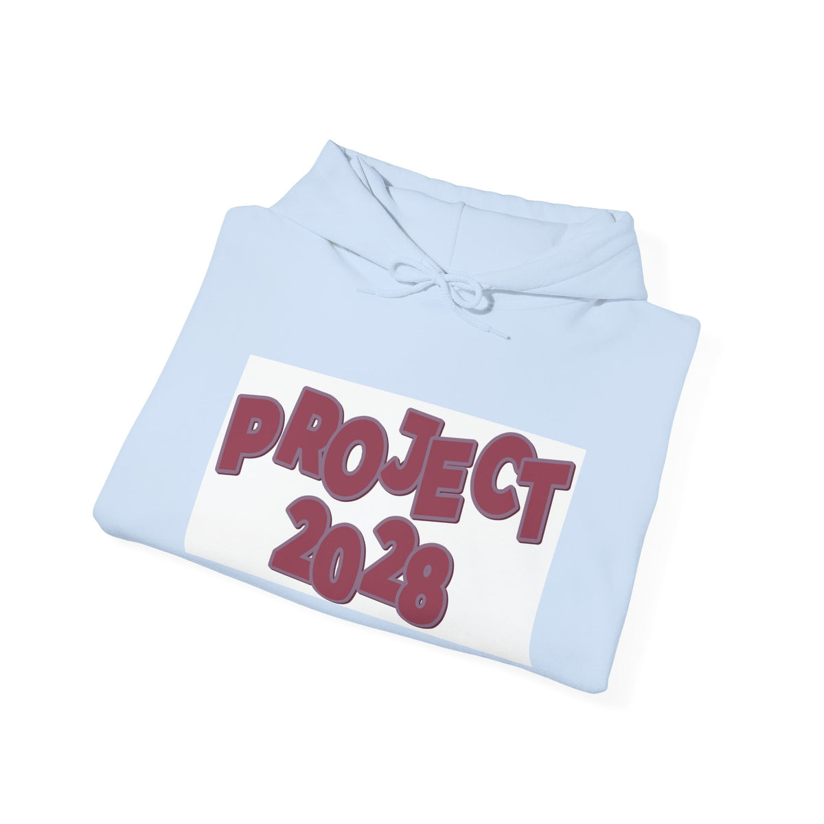 Project 2028 hoodie | Democracy Isn't Automatic back print