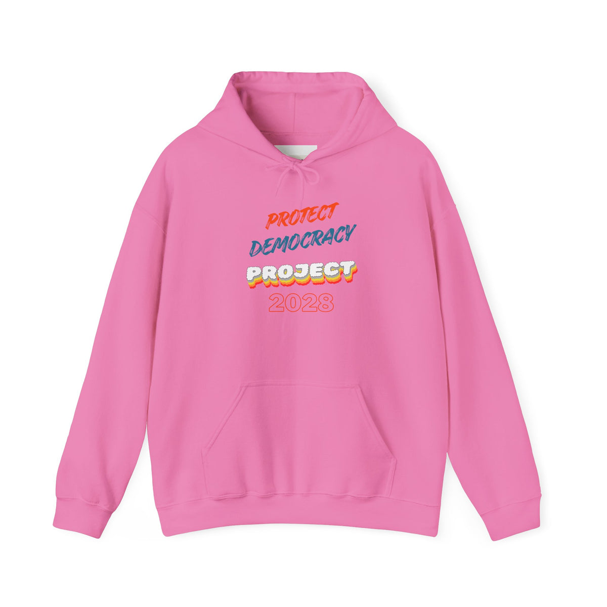 Protect Democracy Project 2028 Hoodie | Social Awareness