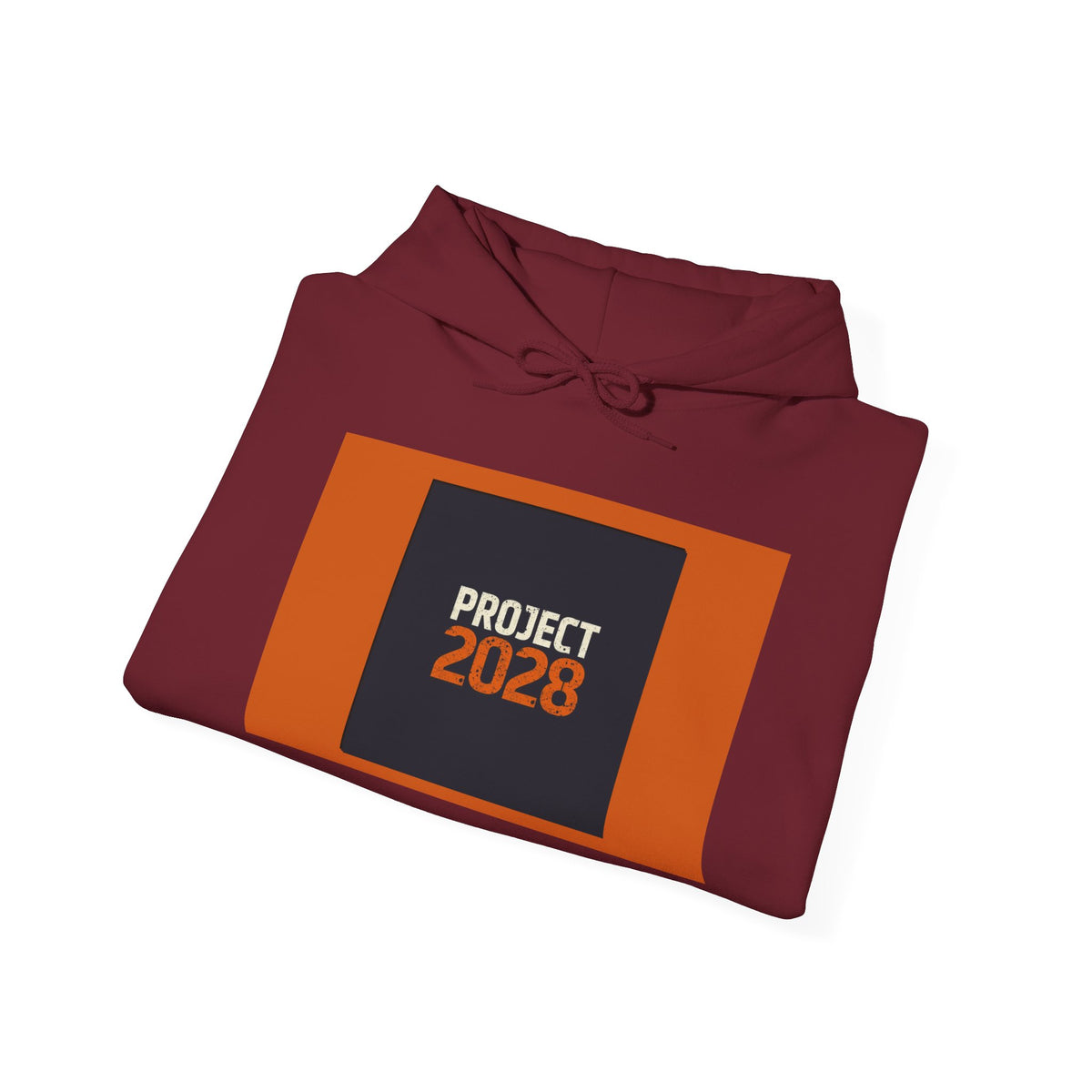 Project 2028 Graphic Hoodie | Democracy