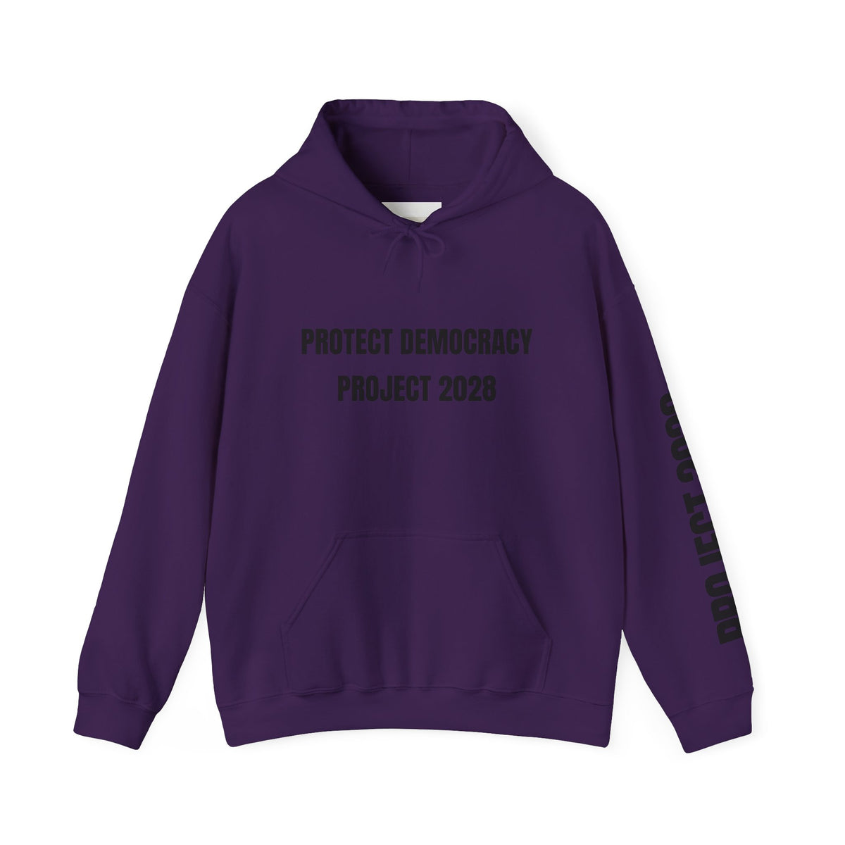 Protect Democracy Project 2028 Hoodie | Social Awareness