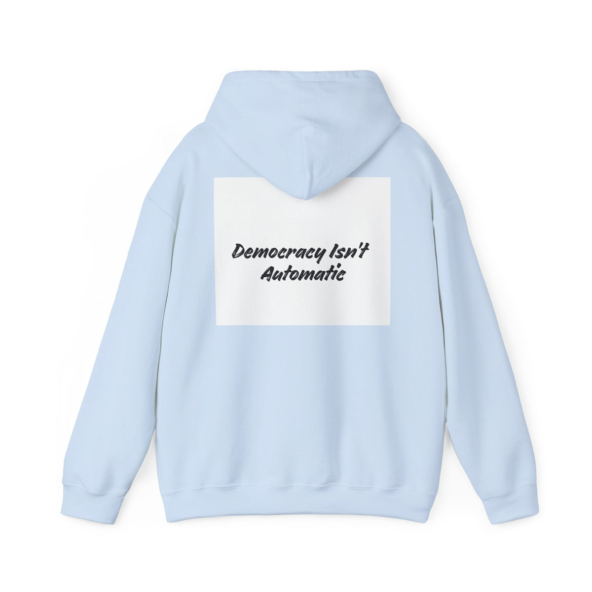 Protect Democracy Project 2028 Hoodie | Social Awareness