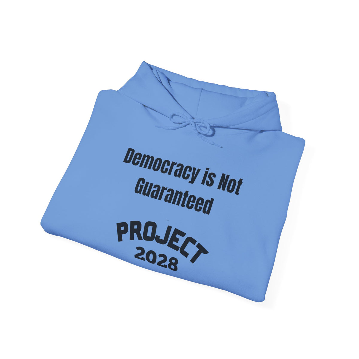 Copy of Project 2028 hoodie | Democracy | Social Awareness