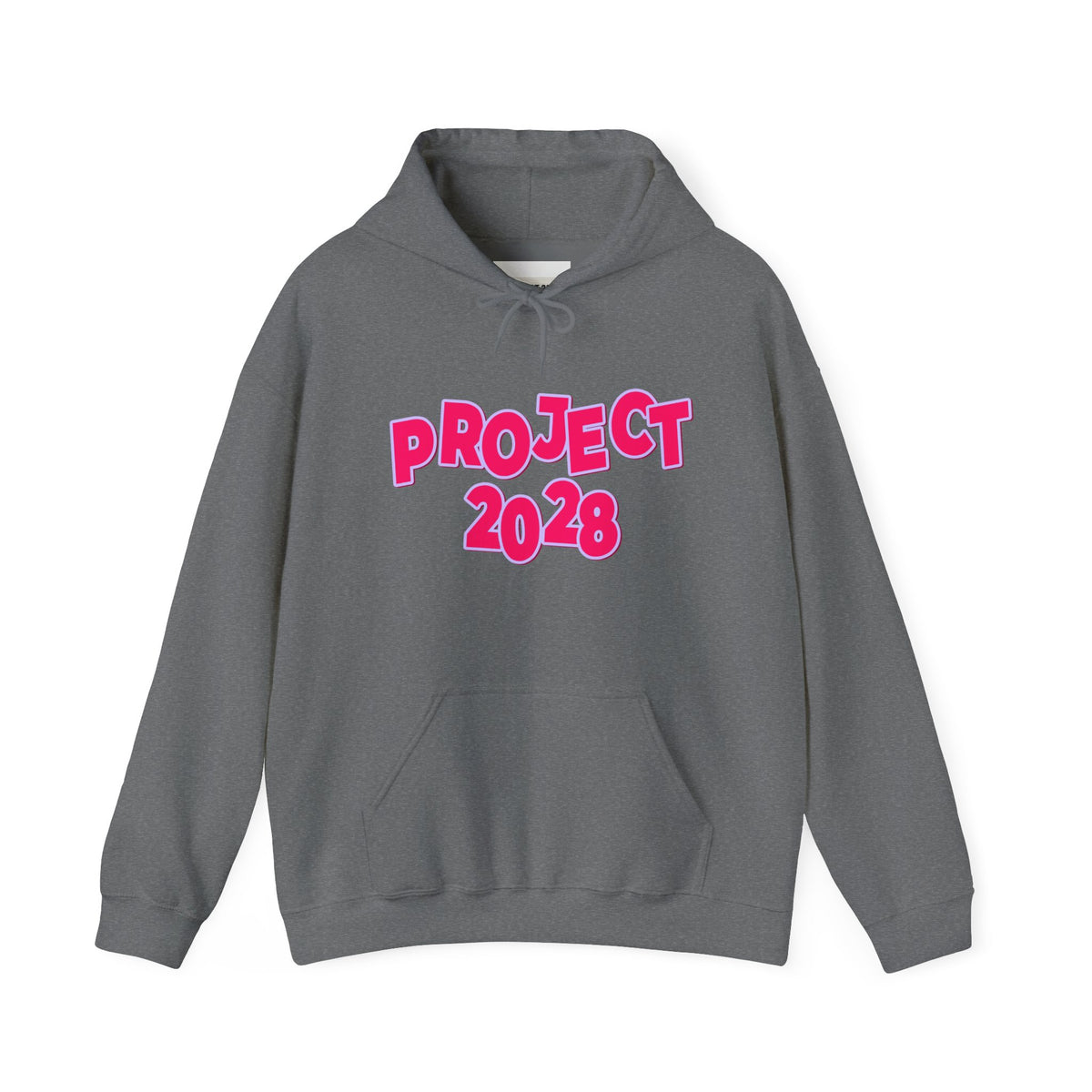 Project 2028 Hoodie | Social Awareness