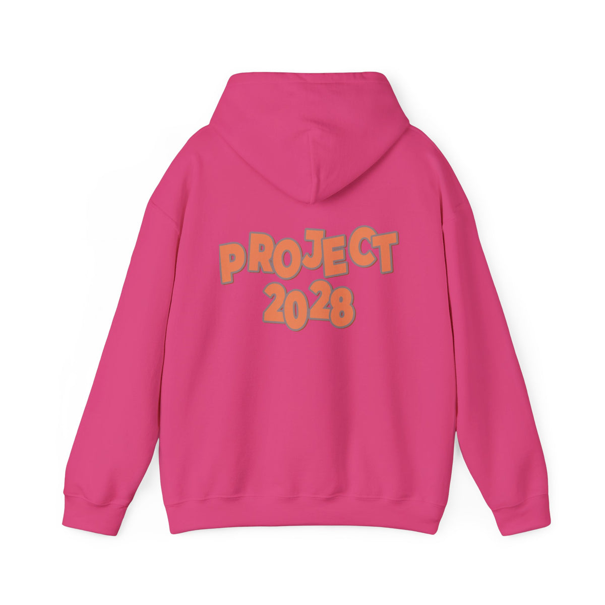 Protect Democracy Project 2028 Hoodie | Social Awareness