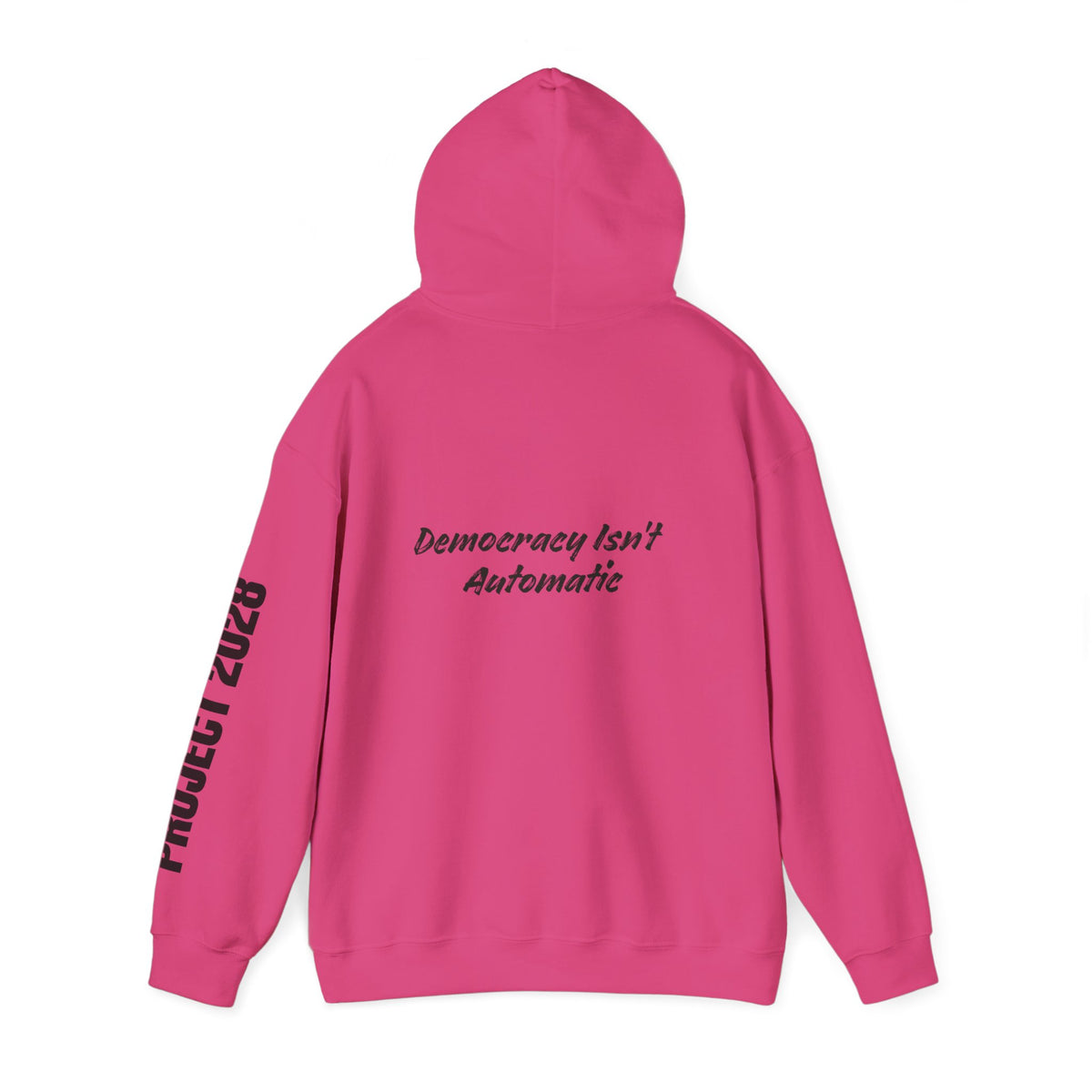 Protect Democracy Project 2028 Hoodie | Social Awareness