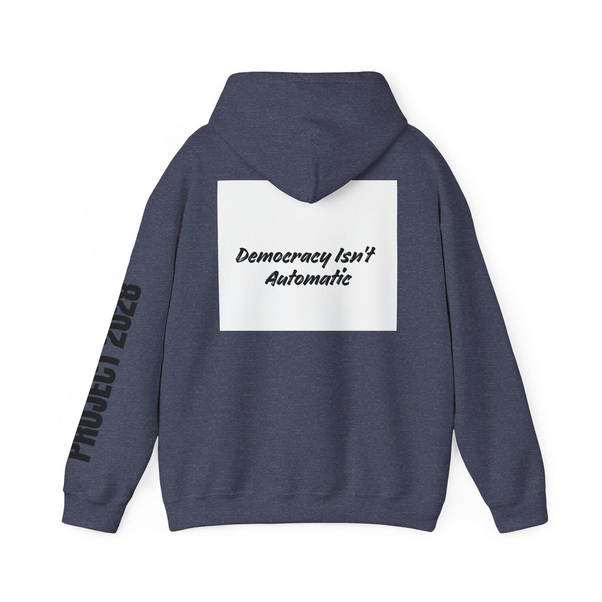 Protect Democracy Project 2028 Hoodie | Social Awareness