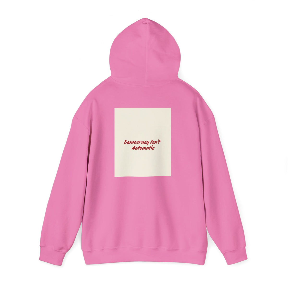 Project 2108 Graphic Hoodie | Democracy Isn't Automatic Back Print