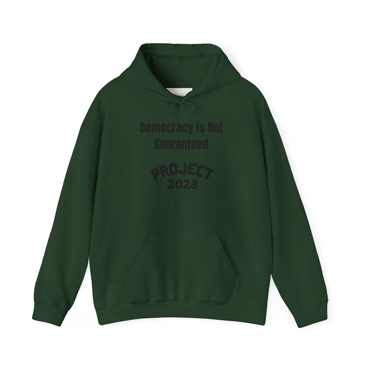 Copy of Project 2028 hoodie | Democracy | Social Awareness