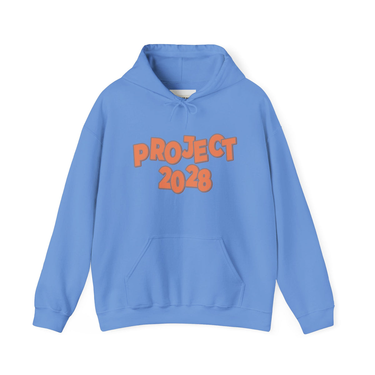 Project 2028 Hoodie | Democracy | Social Justice Message