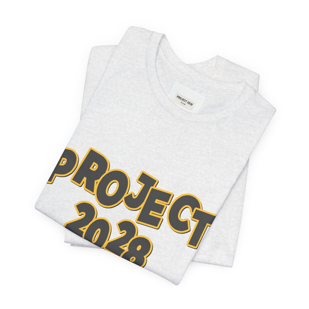 Project 2028 Graphic Tee — "Spirit Airlines Is Gone. Democracy Could Be Next. Vote Blue." Political Statement T-Shirt - Make a Statement Without Saying a Word!