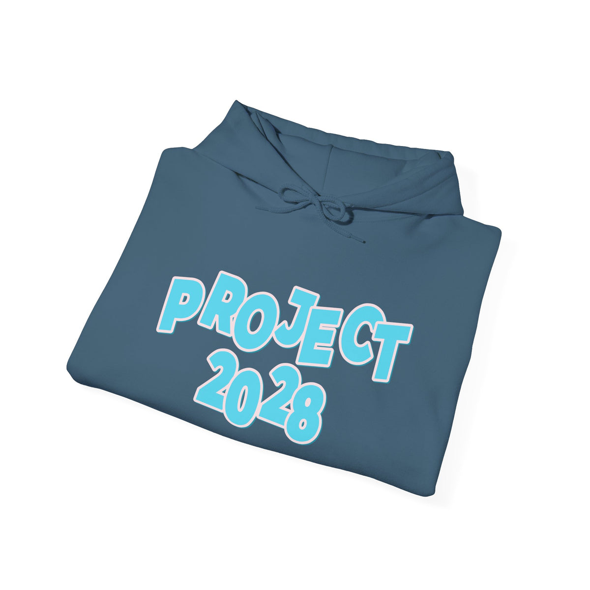 Project 2028 Hoodie | Democracy | Social Awareness