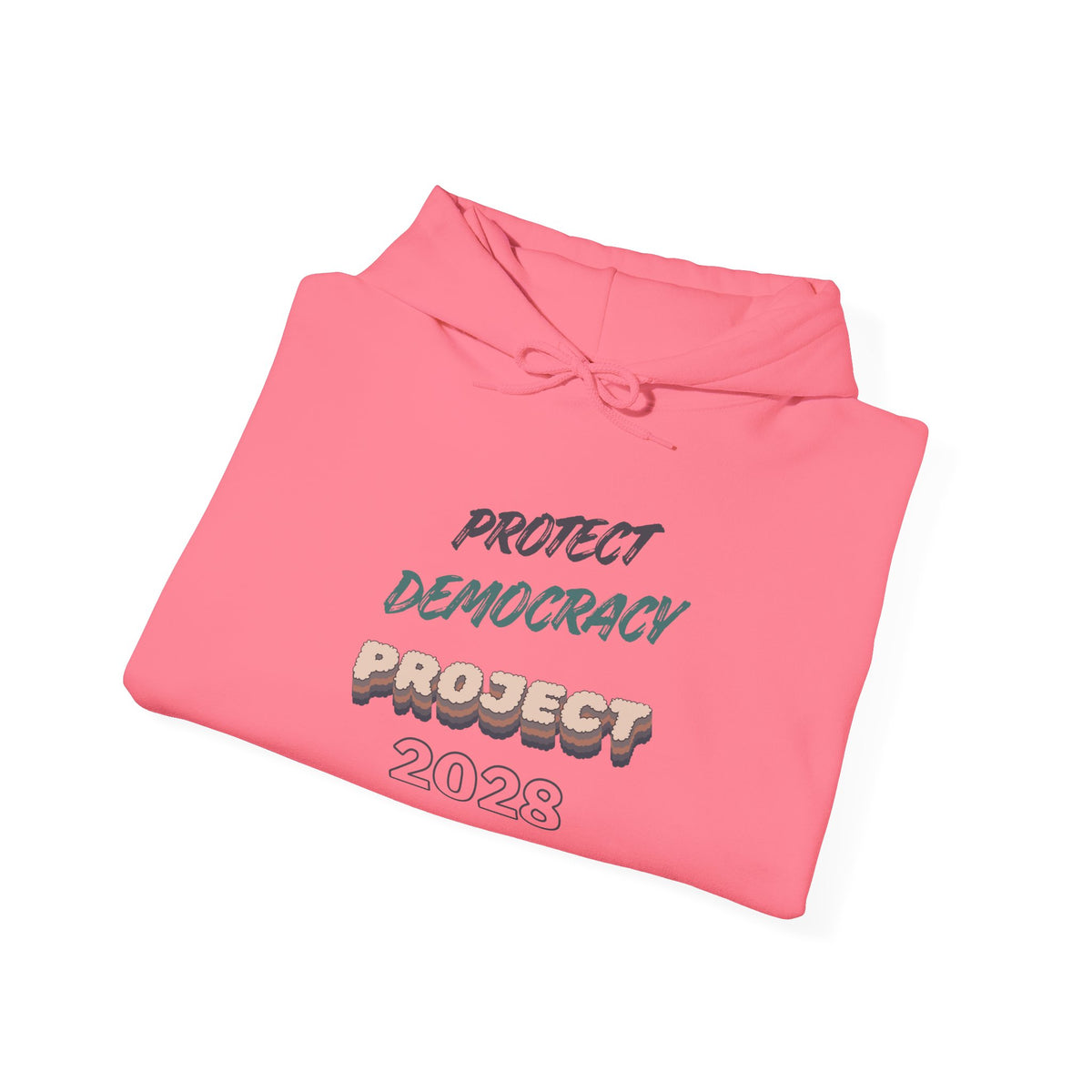 Project 2028 Hoodie | Protect Democracy graphic hoodie