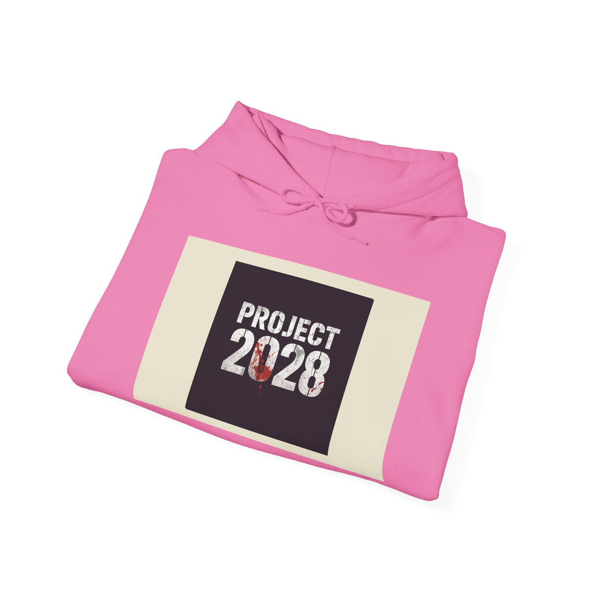 Product 2028 Graphic Hoodie | Democracy Isn't Automatic back print