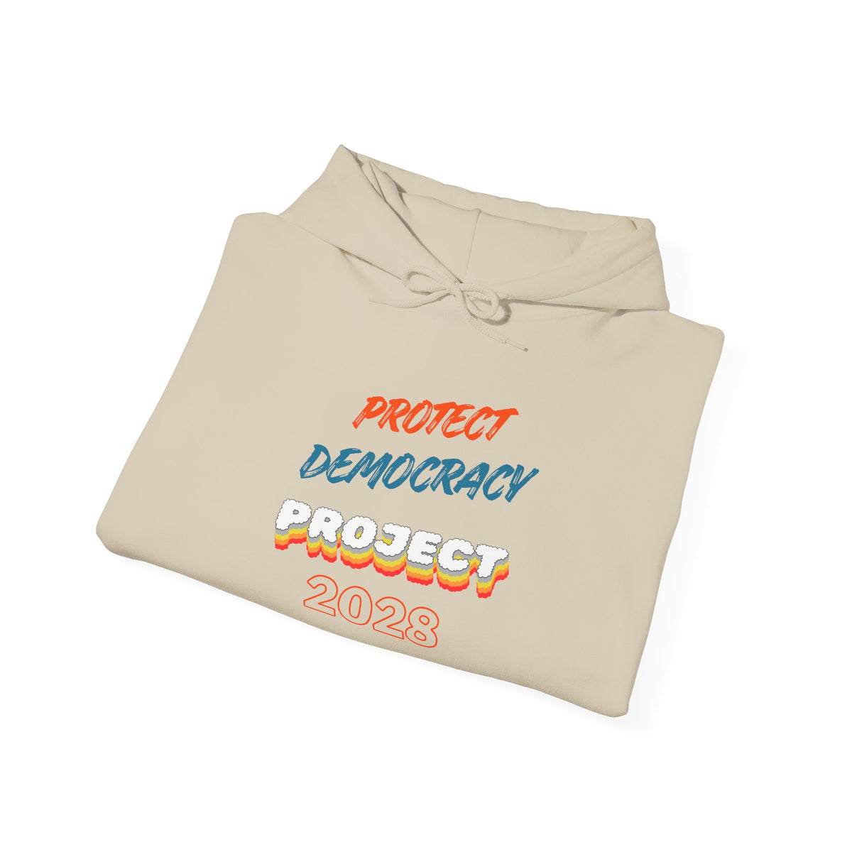 Protect Democracy Project 2028 Hoodie | Social Awareness