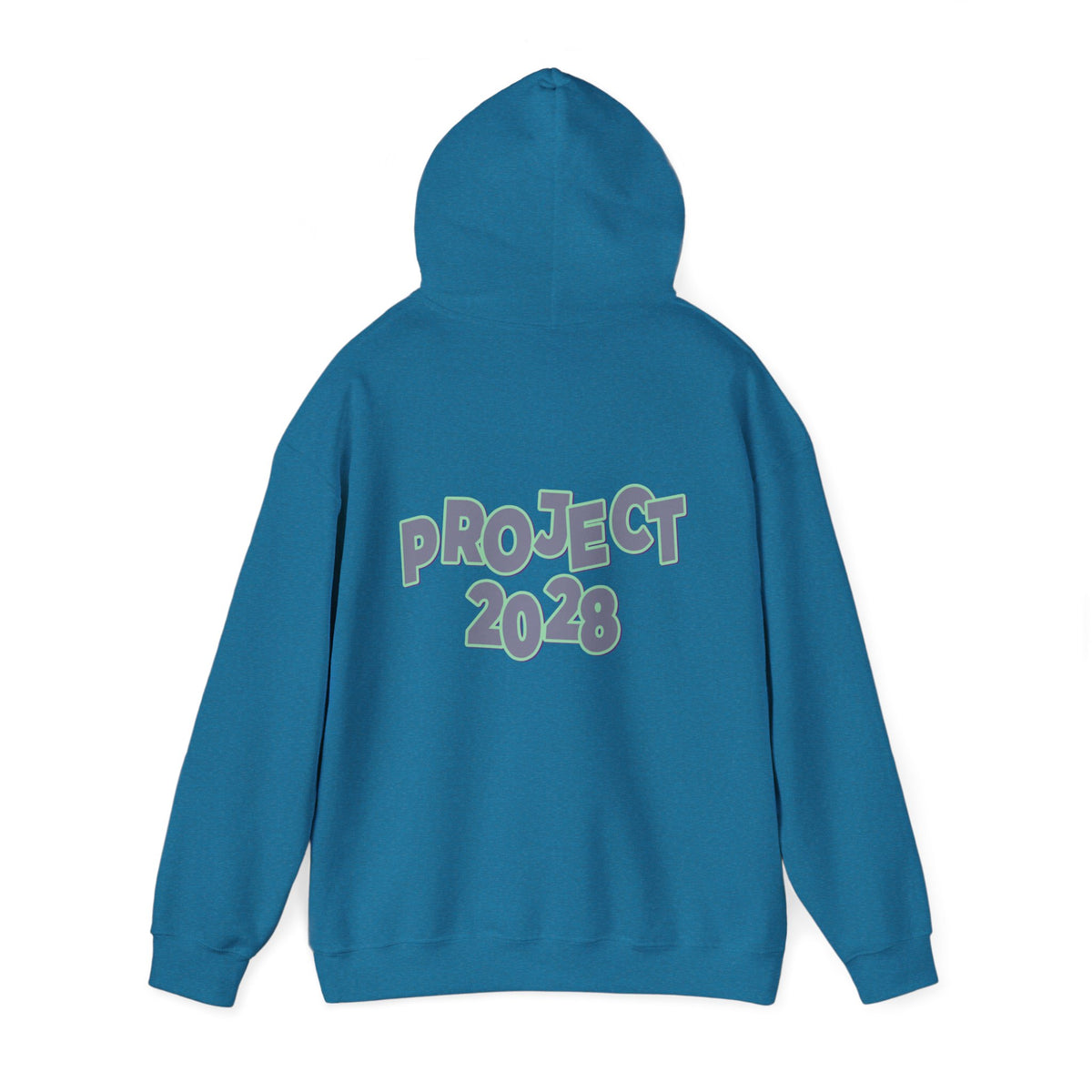 Project 2028 Hoodie | Protect Democracy graphic hoodie