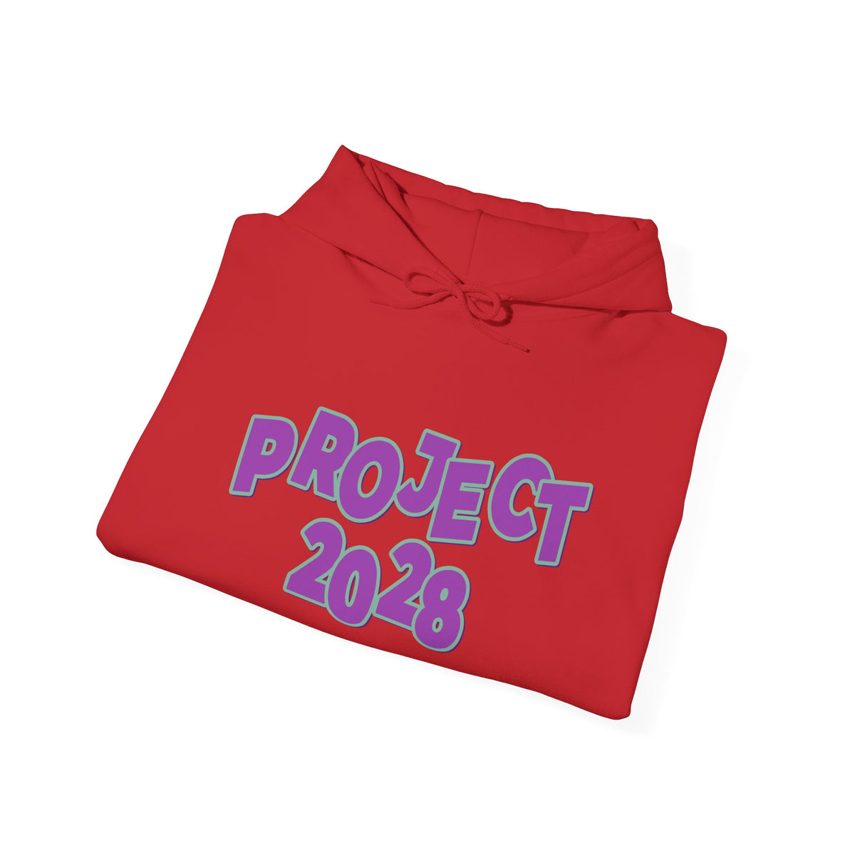 Project 2028 Hoodie | Democracy | Social Awareness