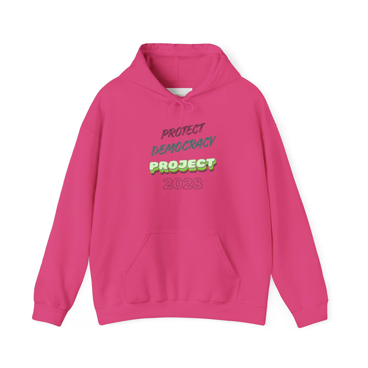 Protect Democracy Project 2023 Hoodie | Democracy Isn't Automatic