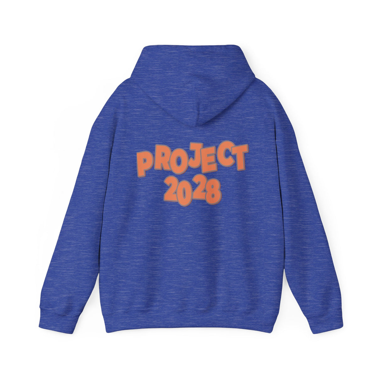 Protect Democracy Project 2028 Hoodie | Social Awareness