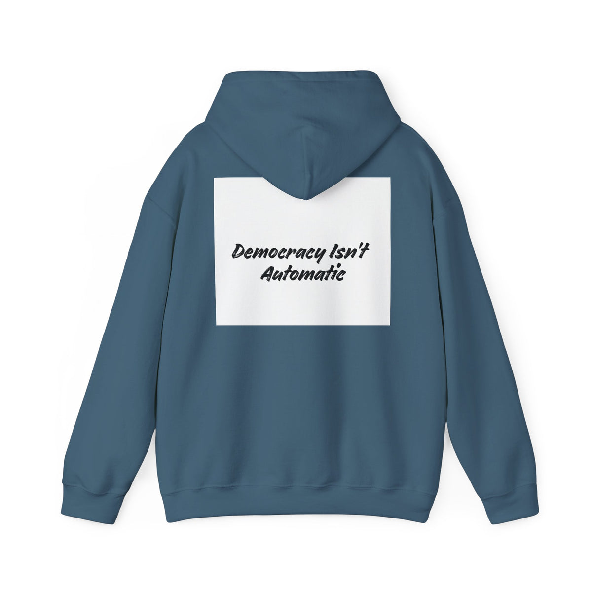 Protect Democracy Project 2028 Hoodie | Social Awareness