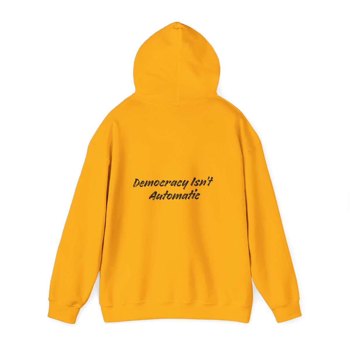 Copy of Project 2028 hoodie | Democracy | Social Awareness
