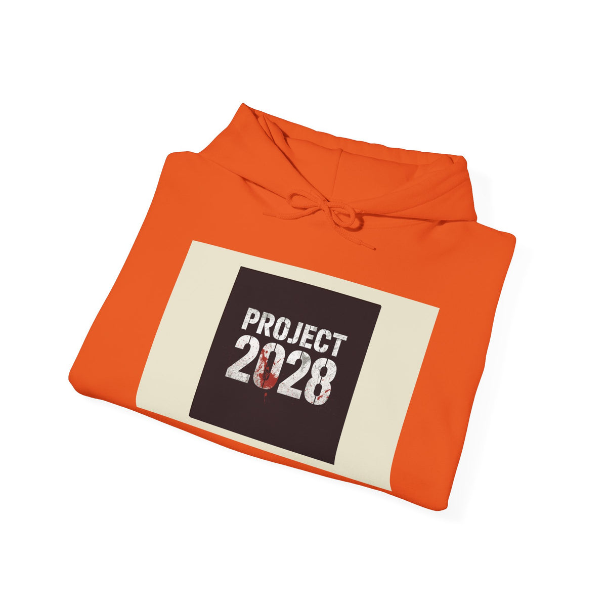 Product 2028 Graphic Hoodie | Democracy Isn't Automatic back print