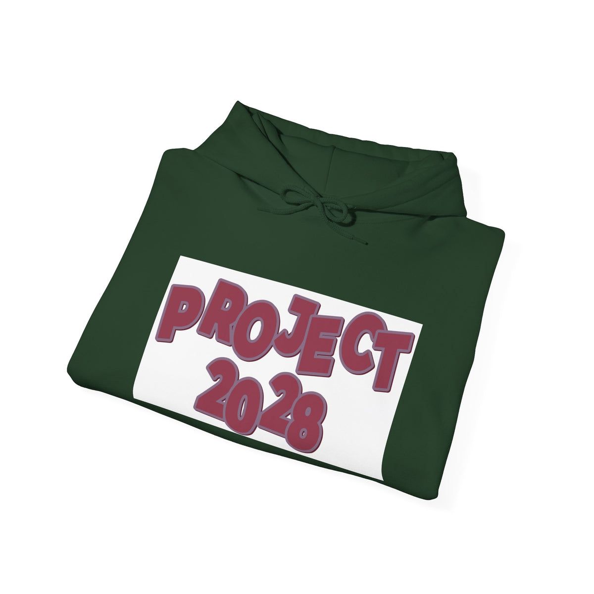Project 2028 hoodie | Democracy Isn't Automatic back print