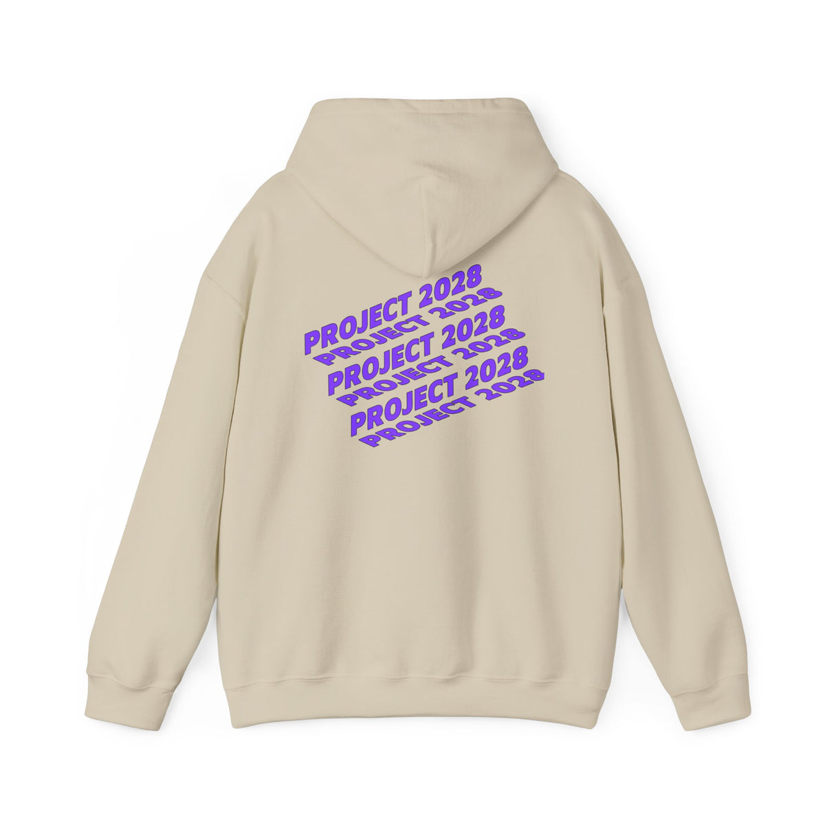 Project 2028 hoodie | Fight Back II text graphic, retro purple pink print