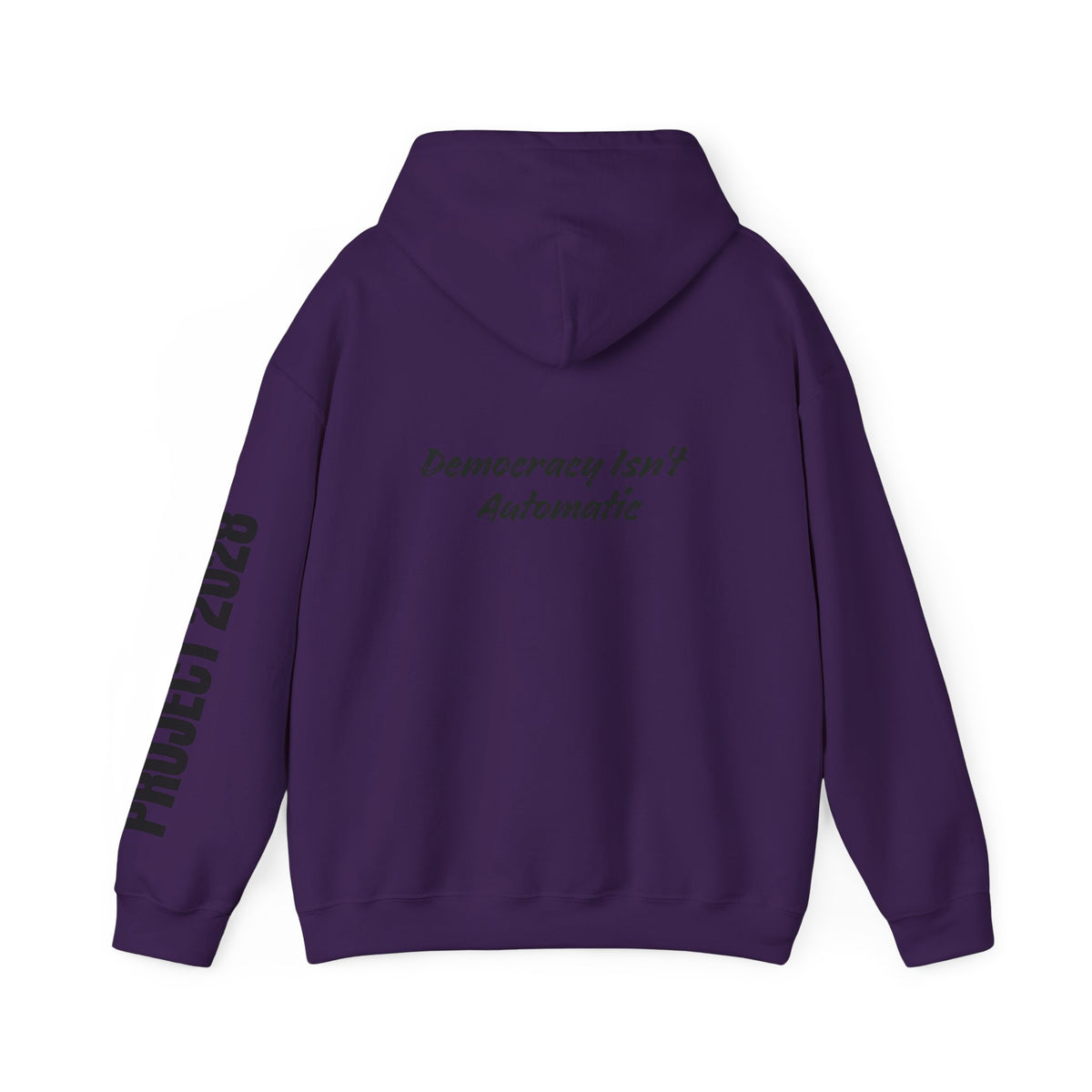 Protect Democracy Project 2028 Hoodie | Social Awareness