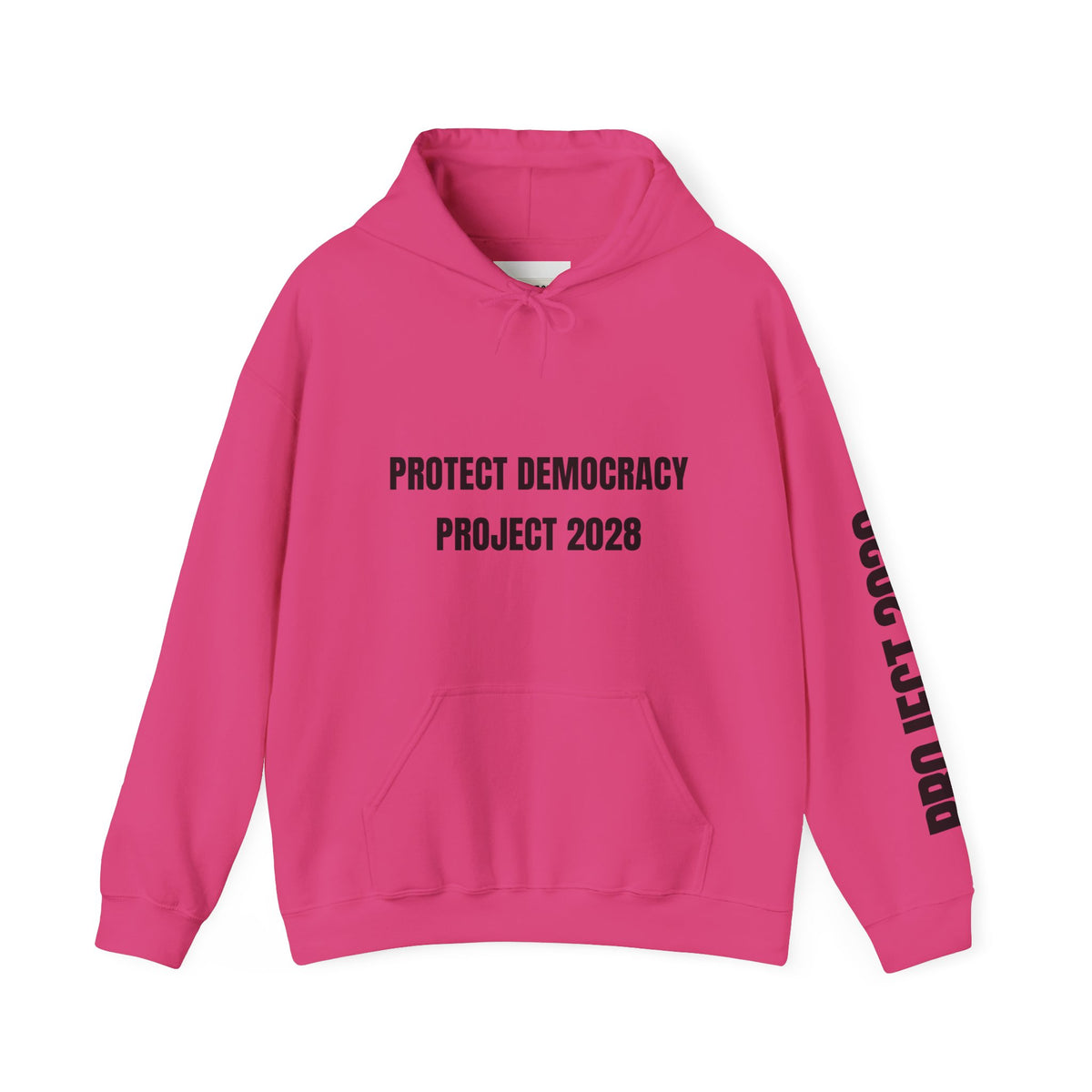 Protect Democracy Project 2028 Hoodie | Social Awareness