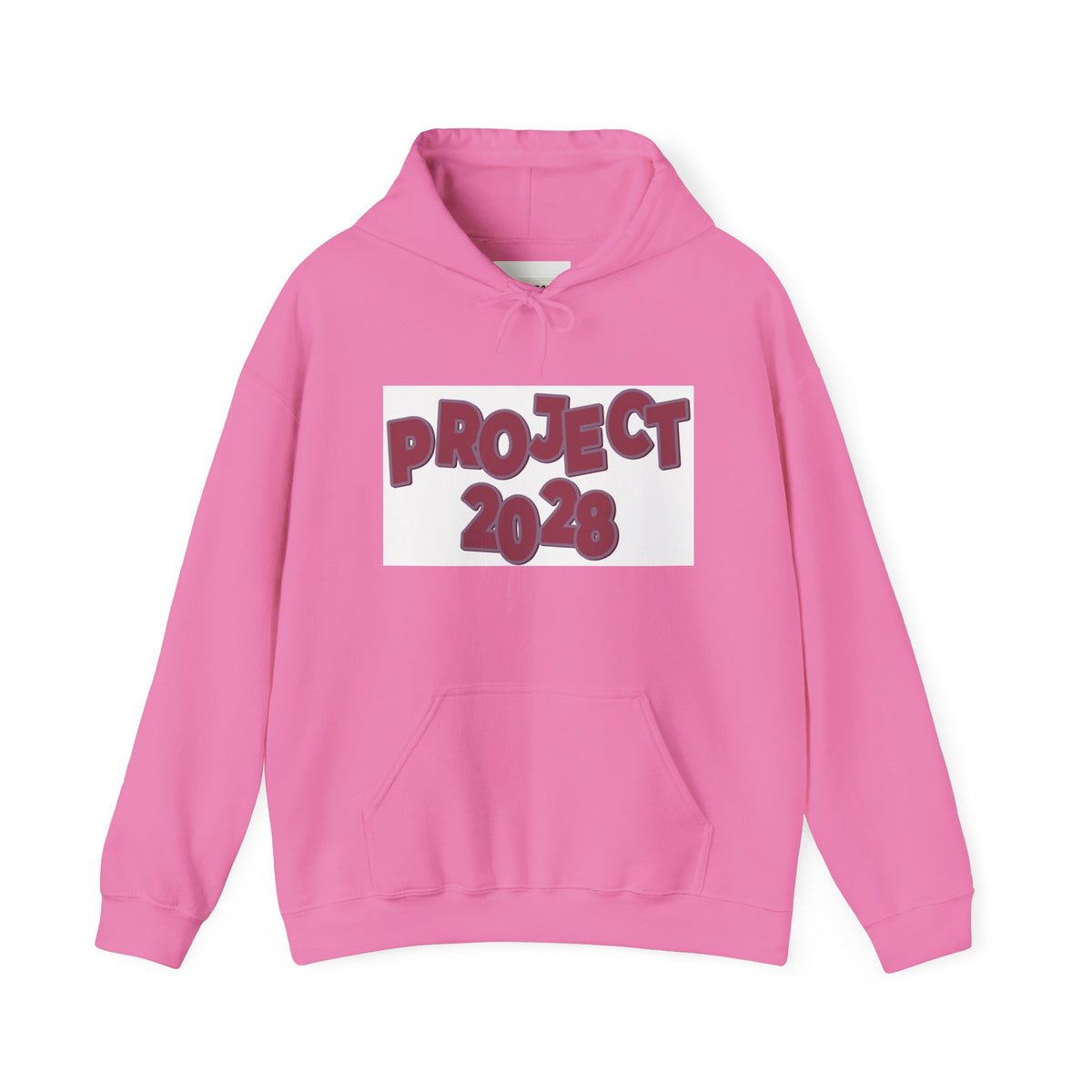 Project 2028 hoodie | Democracy Isn't Automatic back print