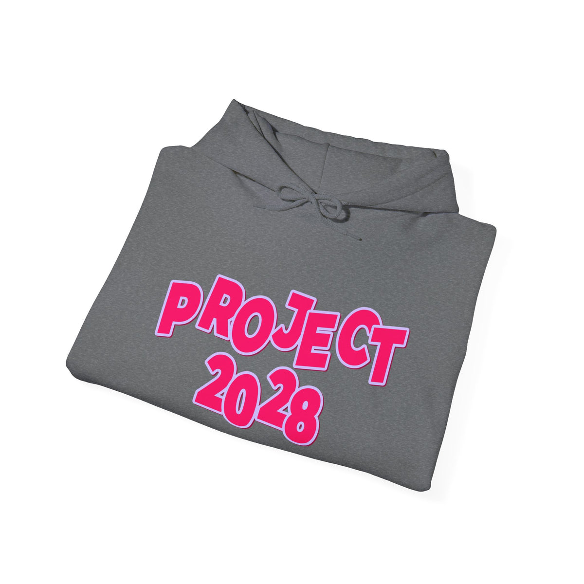 Project 2028 Hoodie | Social Awareness