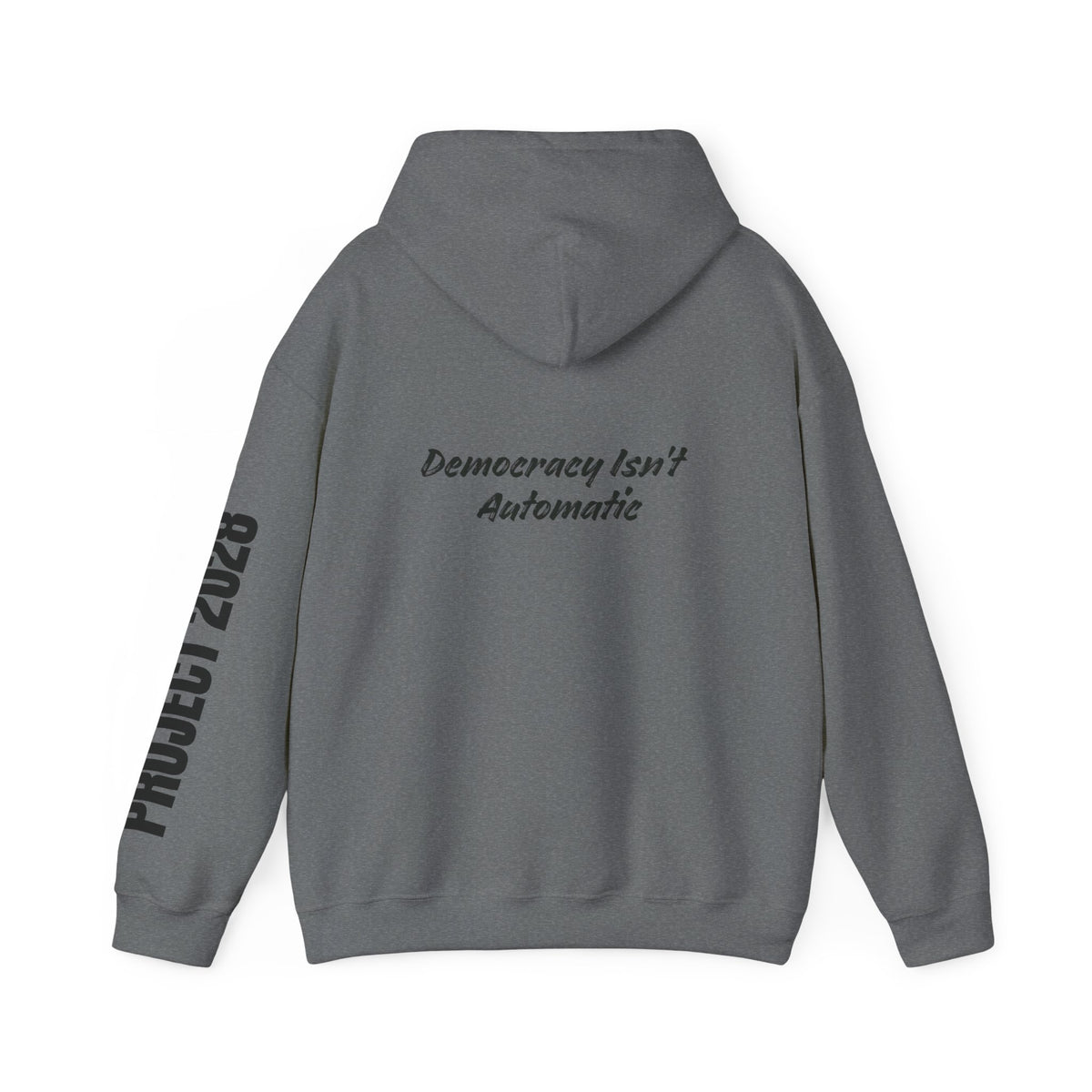 Protect Democracy Project 2028 Hoodie | Social Awareness