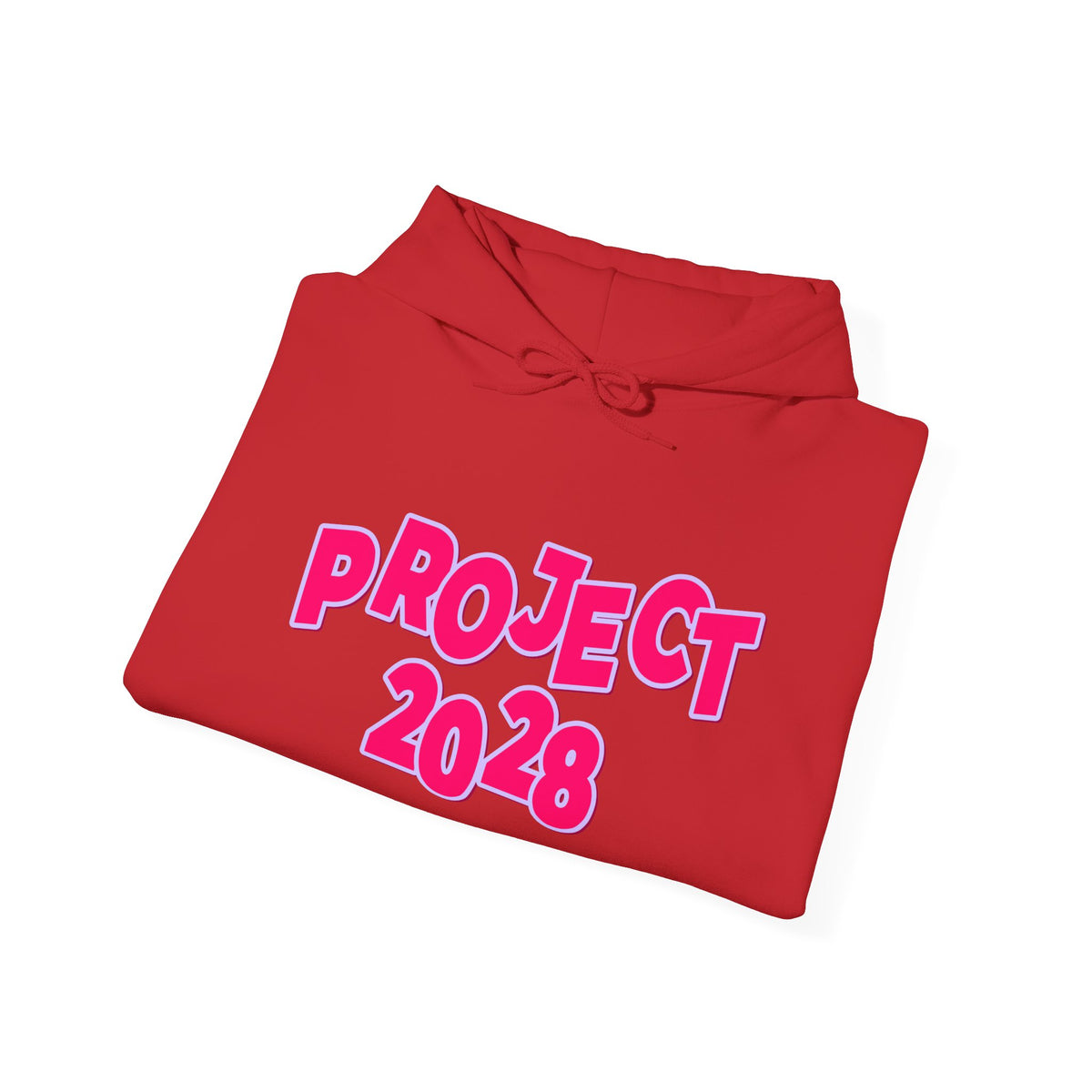 Project 2028 Hoodie | Social Awareness
