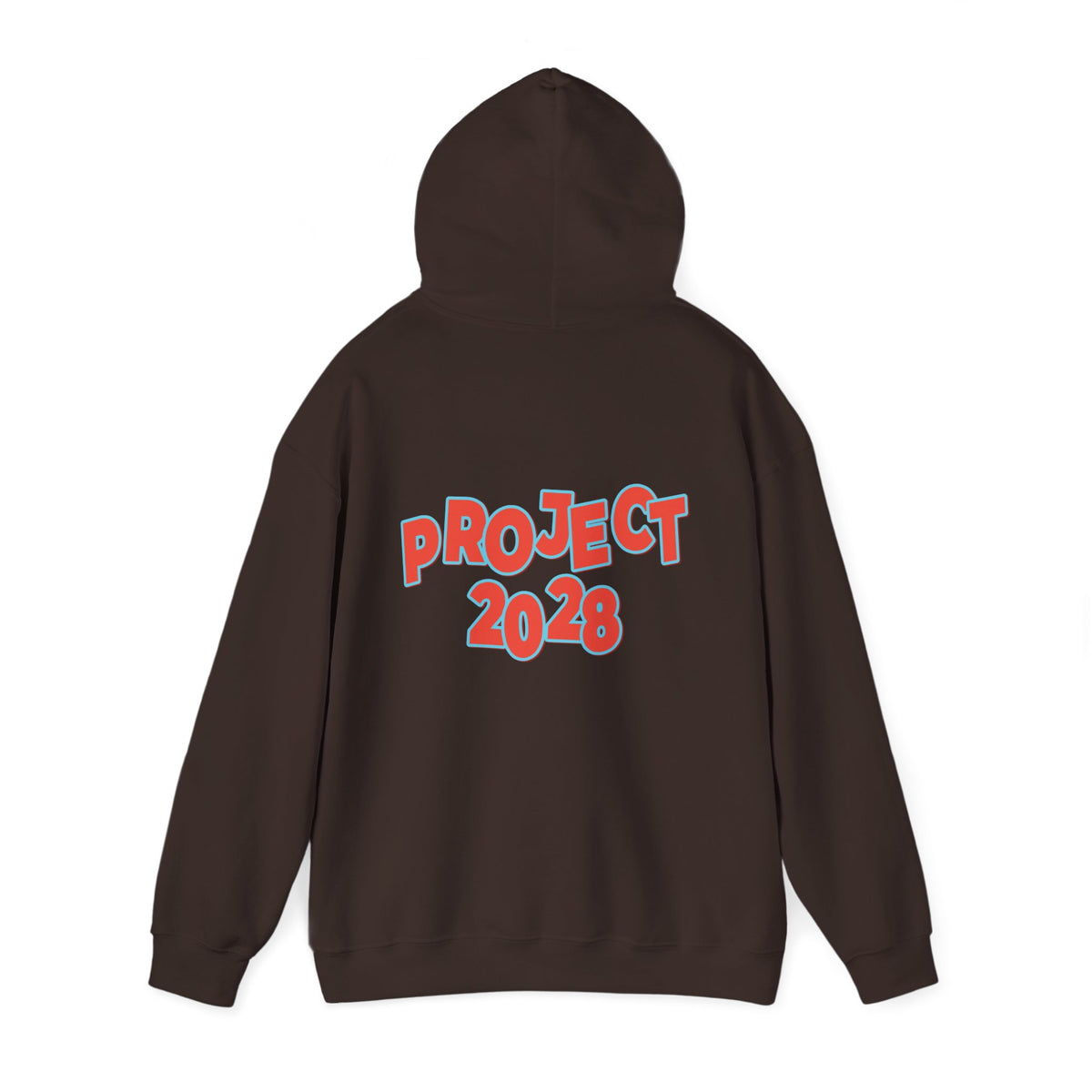 Action Project 2028 Hoodie | Democracy Movement Sweatshirt