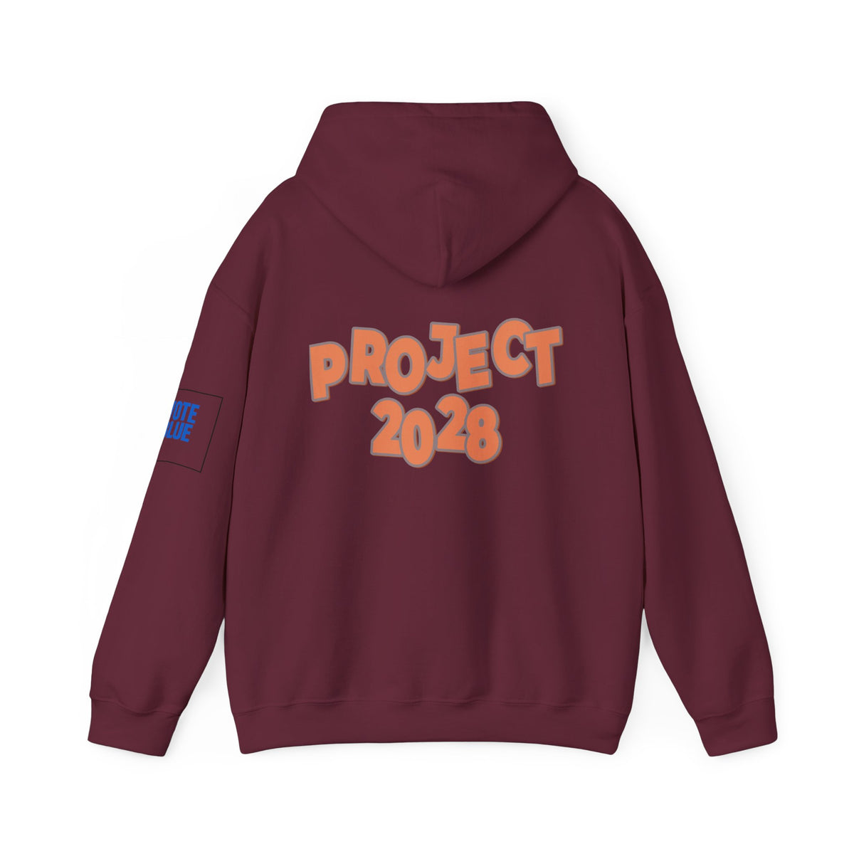 Protect Democracy Project 2028 Hoodie | Social Awareness