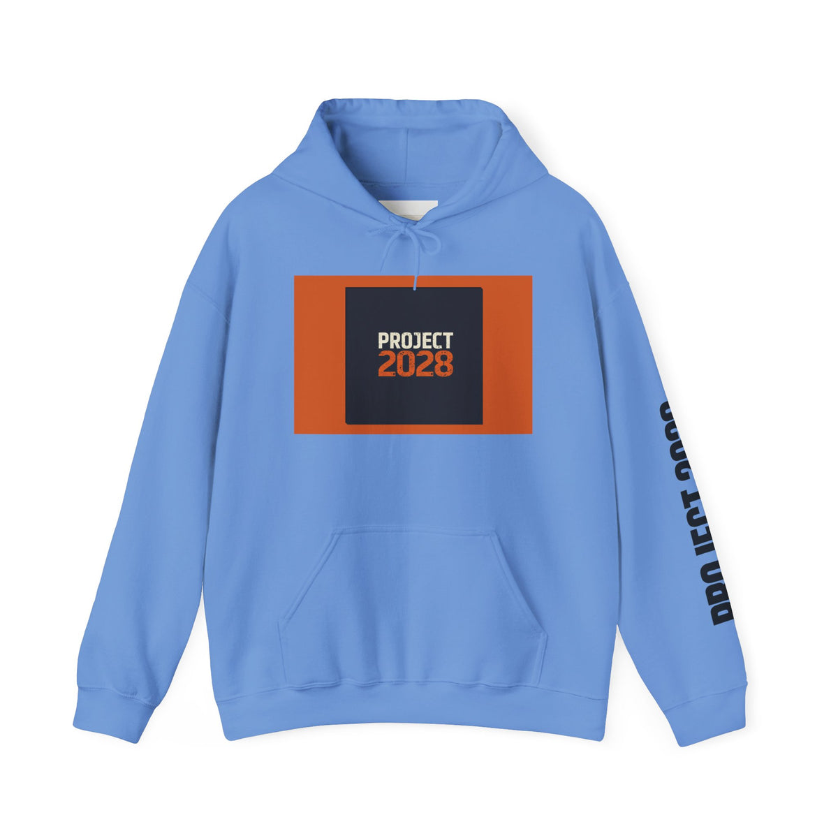 Project 2108 Graphic Hoodie | Democracy Isn't Automatic Back Print